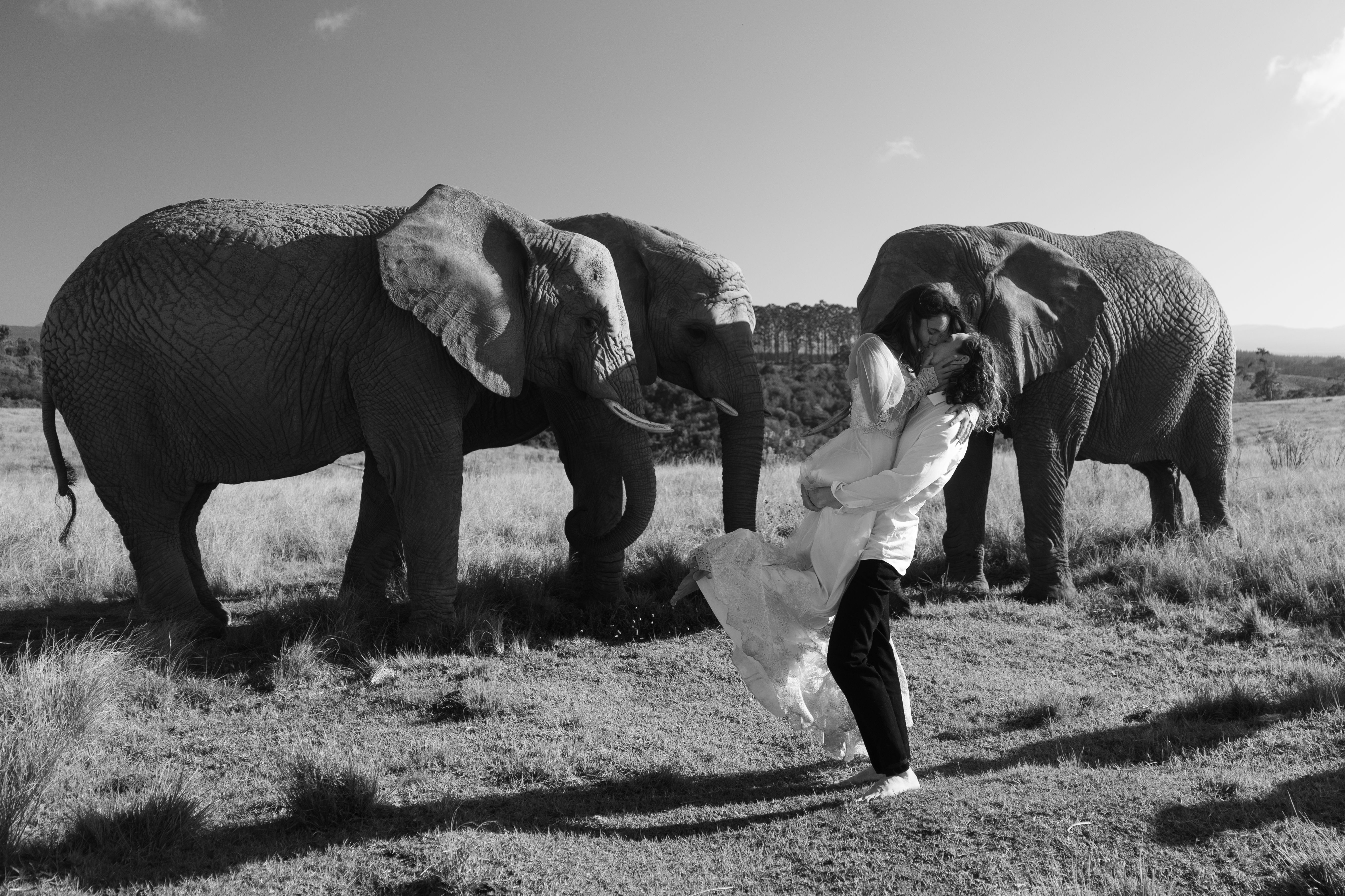 MOMENTSAMMLER | Foto & Film MOMENTSAMMLER | Foto & Film