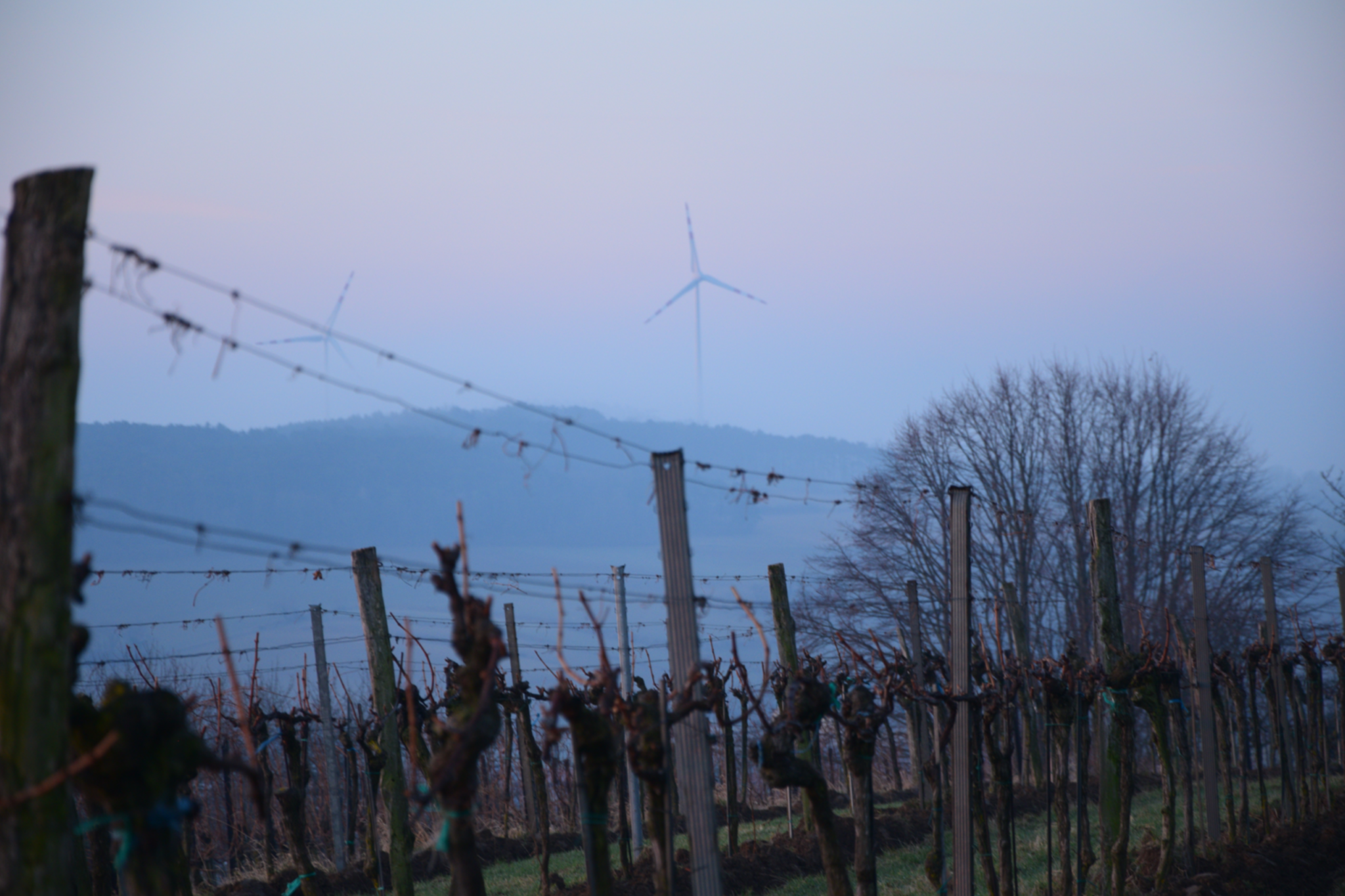 Weingut Karner - Traisental