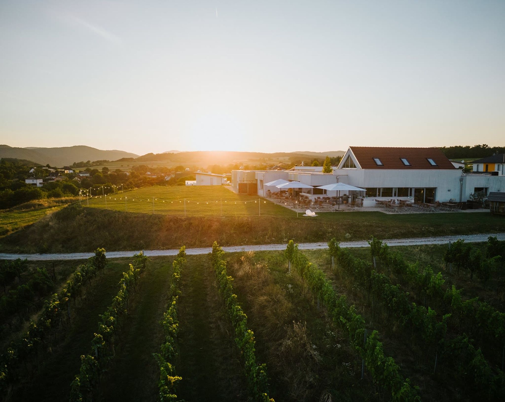 WEINGUT & WEINBLICK Grafinger WEINGUT & WEINBLICK Grafinger