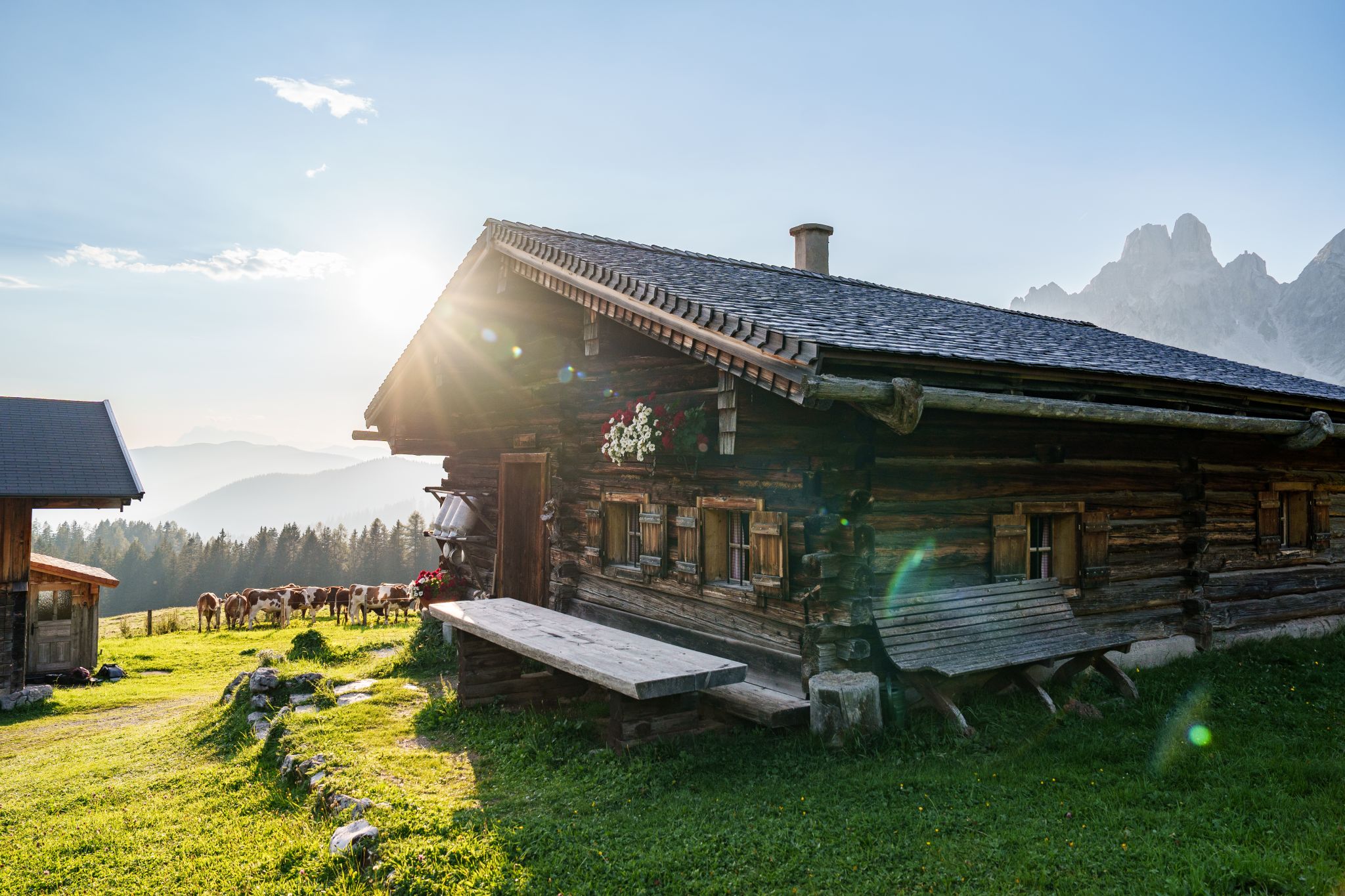 Die Alm - Filzmoos 