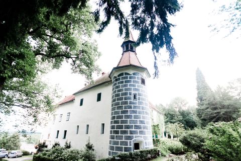 Foto anzeigen