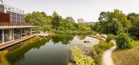 Foto anzeigen