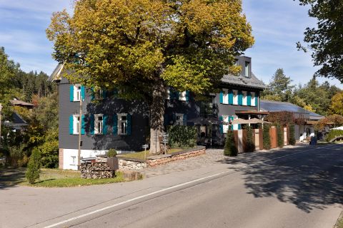Foto anzeigen