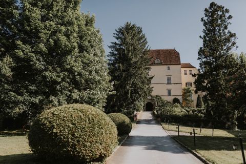 Foto anzeigen