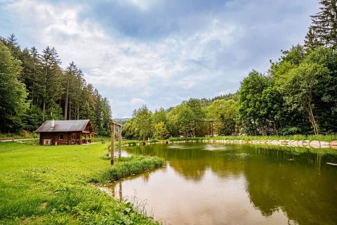 Foto anzeigen