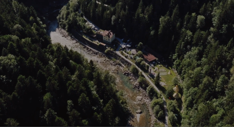 Foto anzeigen