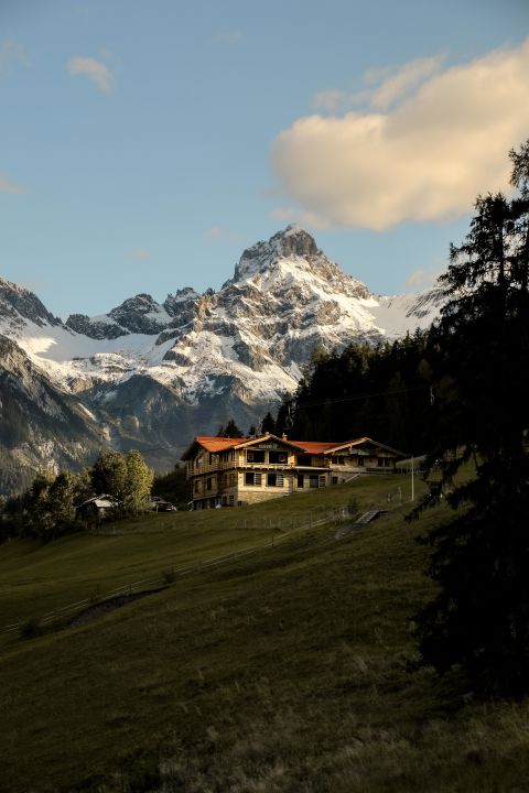 Foto anzeigen