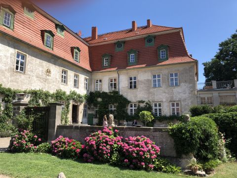 Foto anzeigen