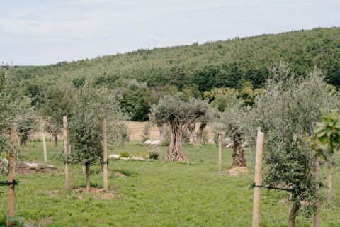 Foto anzeigen