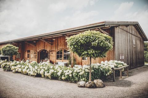Foto anzeigen