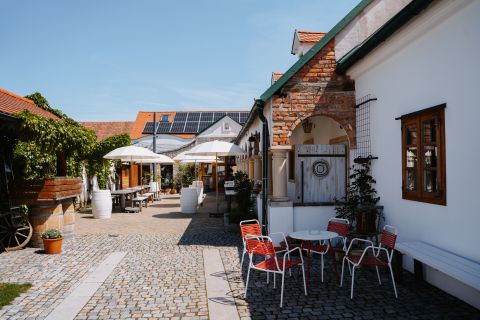 Foto anzeigen
