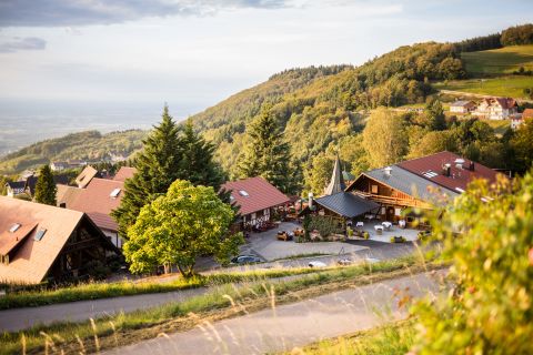 Foto anzeigen