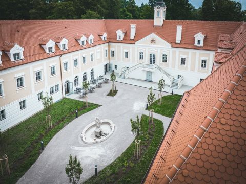 Foto anzeigen