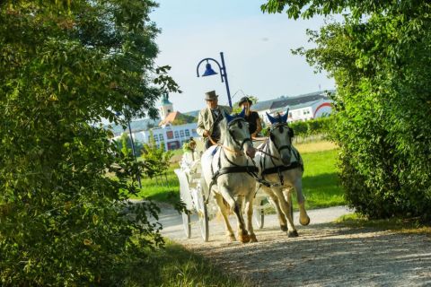 Foto anzeigen