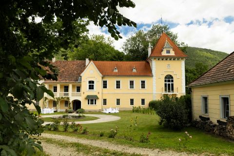 Foto anzeigen