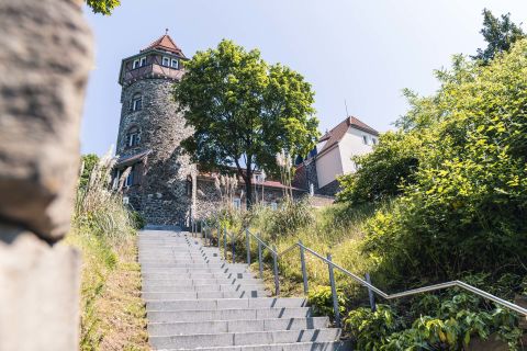 Foto anzeigen