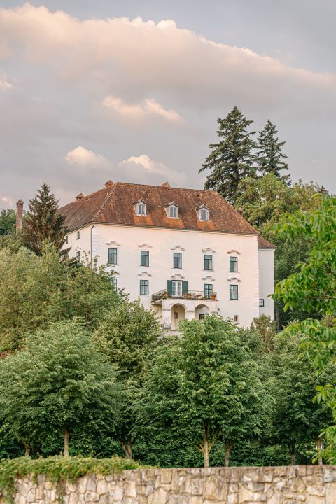 Foto anzeigen