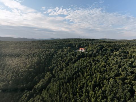 Foto anzeigen