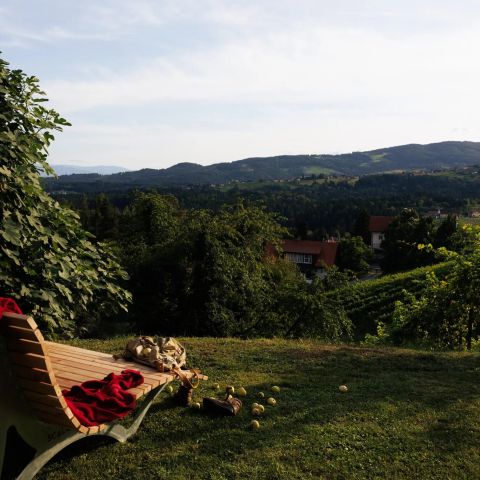 Foto anzeigen