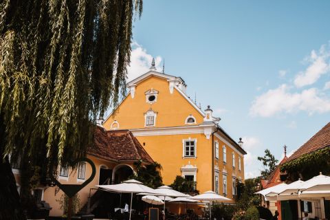 Foto anzeigen